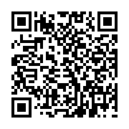 QR code for MNI6513