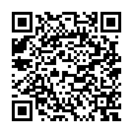 QR code for MPA0541