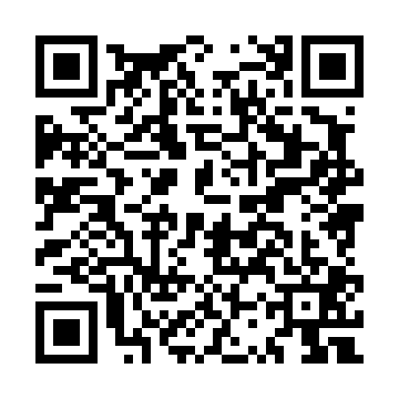 QR code for MSX4010