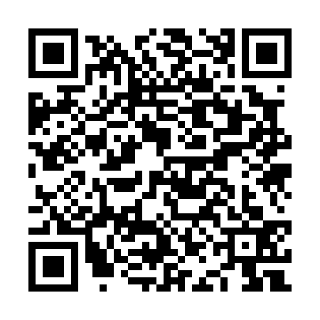 QR code for NAK0333