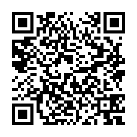 QR code for NCI1382