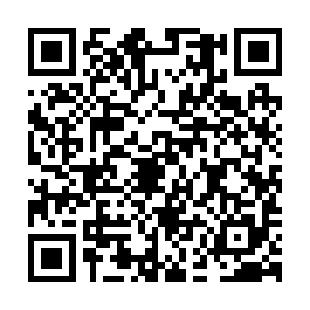 QR code for NEI2958