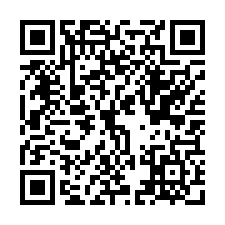 QR code for NEO0653