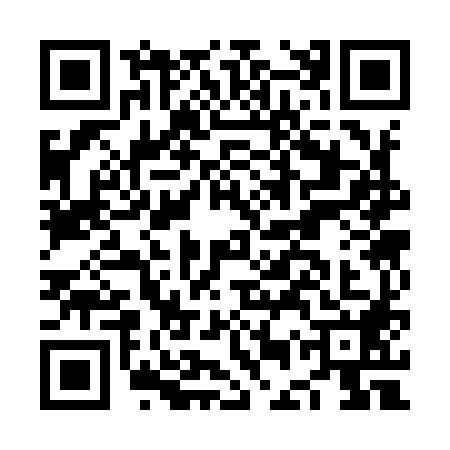 QR code for NES9882