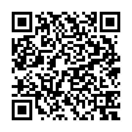 QR code for NGA6383