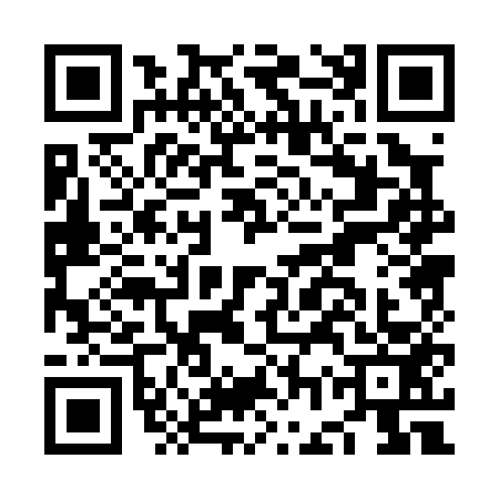 QR code for NGP0533