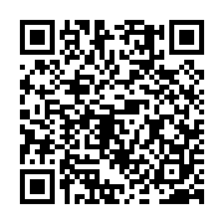 QR code for NIF0523