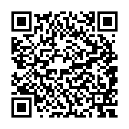 QR code for NIF2939