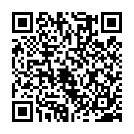 QR code for NKG4378