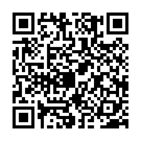 QR code for NLP0699