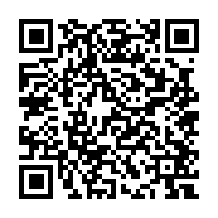 QR code for NLZ0420