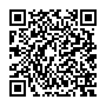 QR code for NMG4291