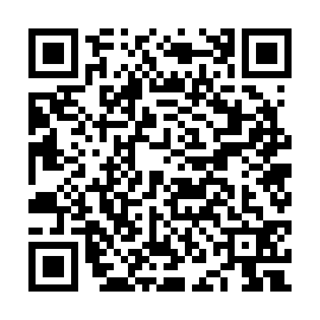 QR code for NNG2328