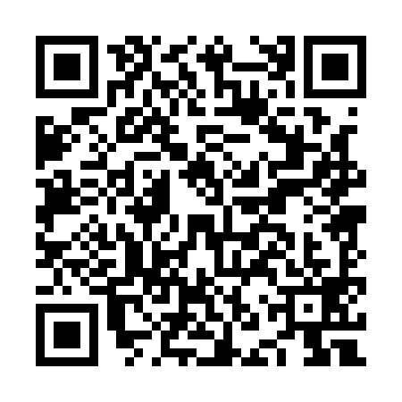 QR code for NNP1991