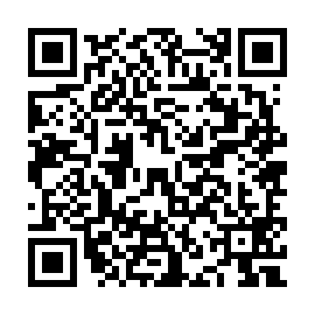 QR code for NNZ6991