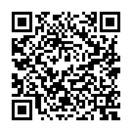 QR code for NOI9511