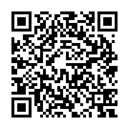 QR code for NPA2397