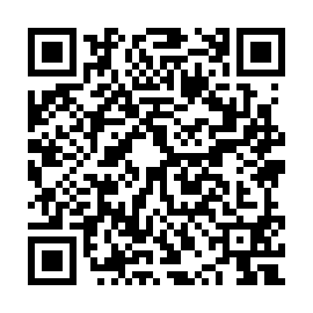 QR code for NPI3905