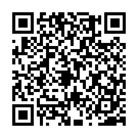 QR code for NQE0629