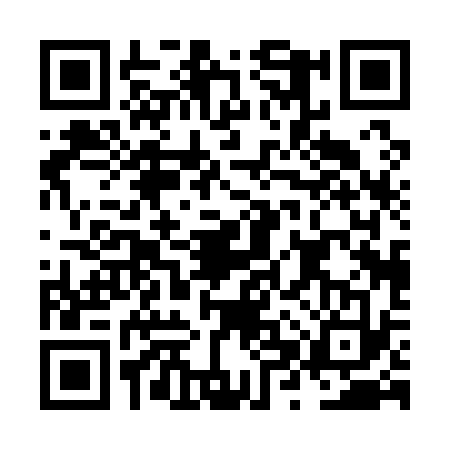 QR code for NXP1336