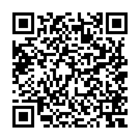 QR code for NYE9496