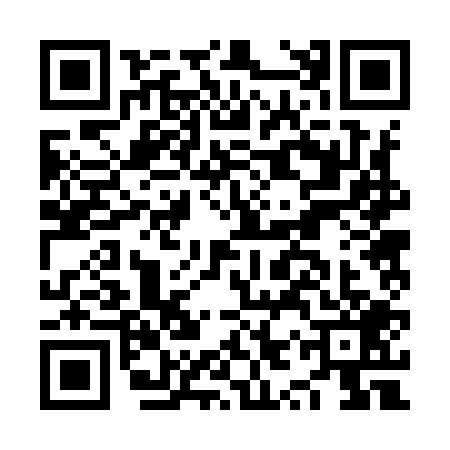 QR code for NYR9095