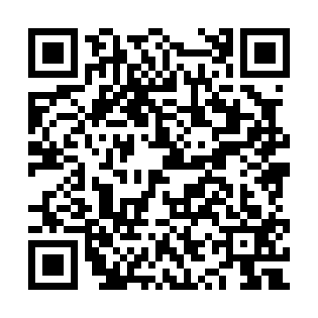 QR code for NYX0132
