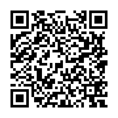 QR code for NYX8597