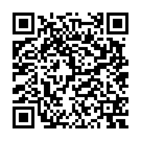 QR code for NYZ4207