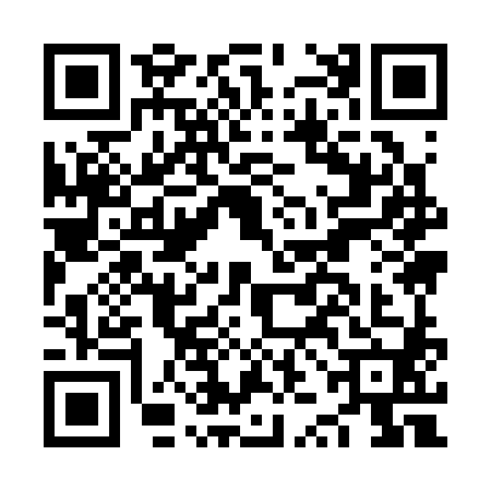 QR code for NZI3806