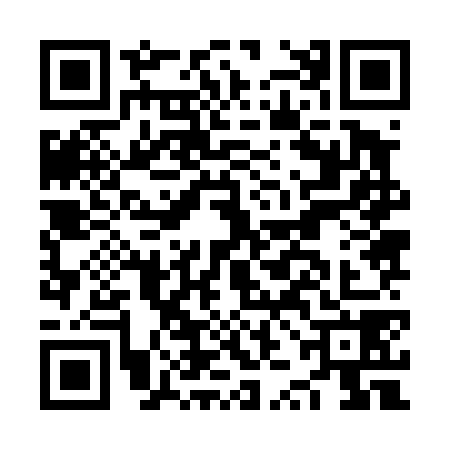 QR code for NZJ4787