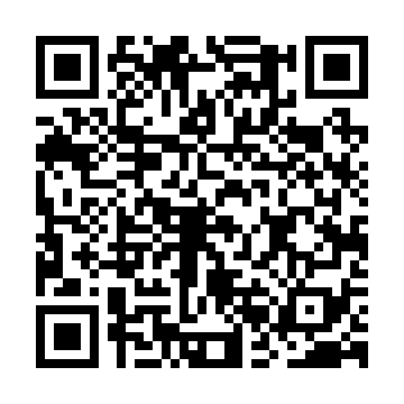 QR code for OBD2797