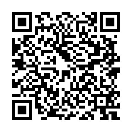 QR code for OKI4529