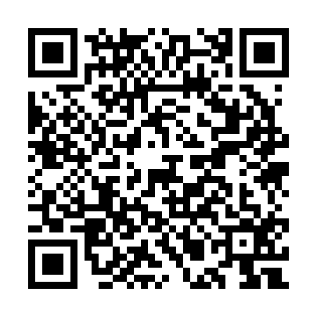QR code for OMK2166