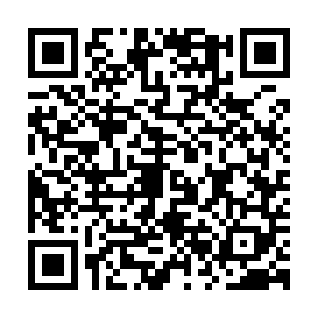 QR code for ORG9493