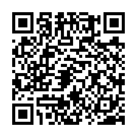 QR code for OSX6311