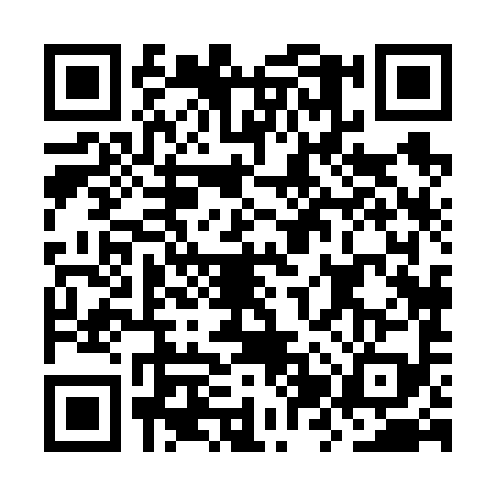 QR code for OZX6993