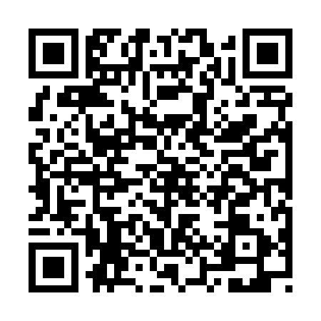 QR code for OZZ4911