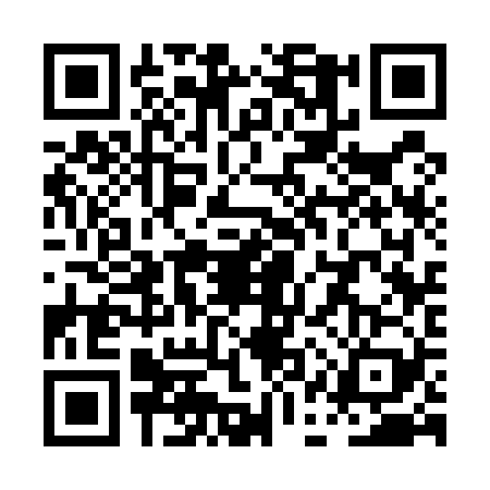 QR code for PAS5295