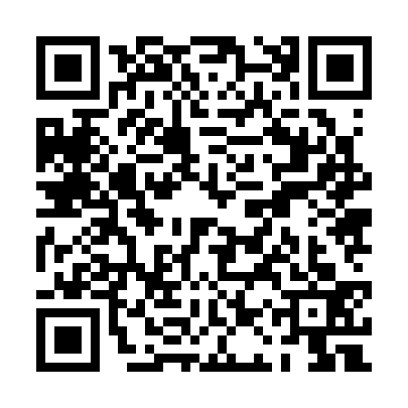 QR code for PAZ3336