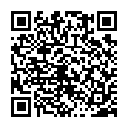 QR code for PDG6126