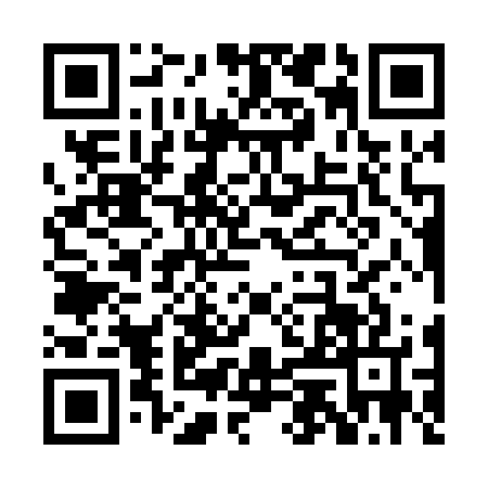 QR code for PEK0272