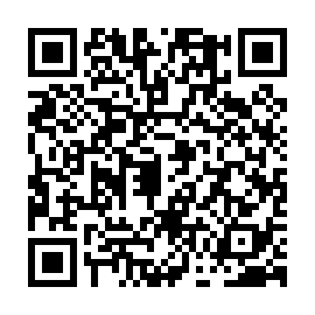 QR code for PGA0384
