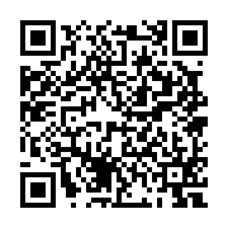 QR code for PGA0956