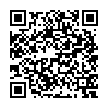 QR code for PGO6739