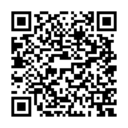 QR code for PGU4729