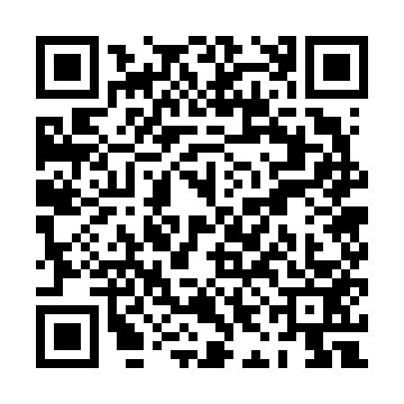 QR code for PIG6533