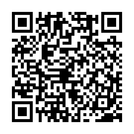QR code for PIR2631
