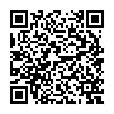 QR code for PJP2163