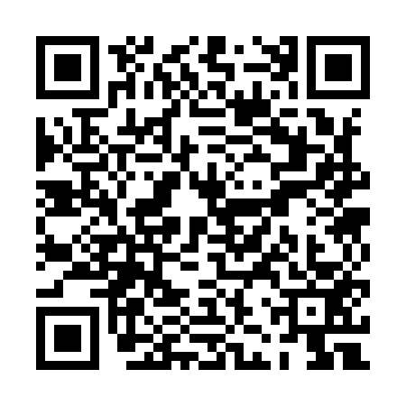 QR code for PJS9533